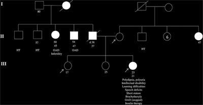 Multiallelic Rare Variants in BBS Genes Support an Oligogenic Ciliopathy in a Non-obese Juvenile-Onset Syndromic Diabetic Patient: A Case Report